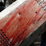 Blood on a shield on Maidan