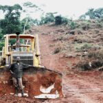 Landgrabbing in Uganda