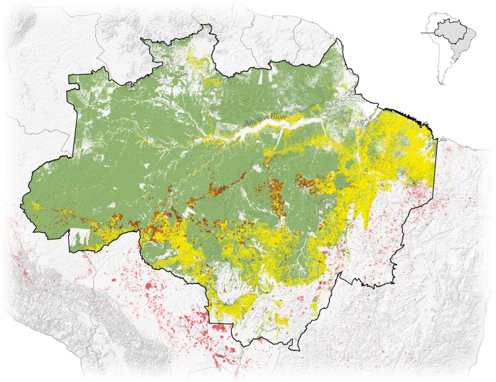 Gelb: Abholzung 2018; Rot: Feuer 2019