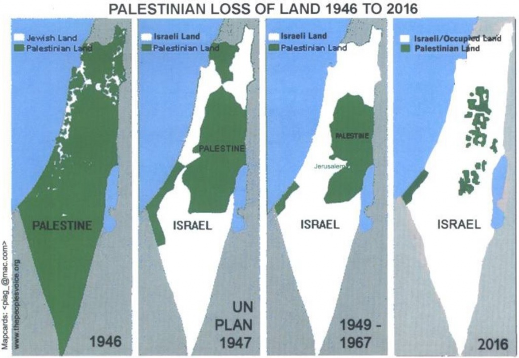 palestina disapear